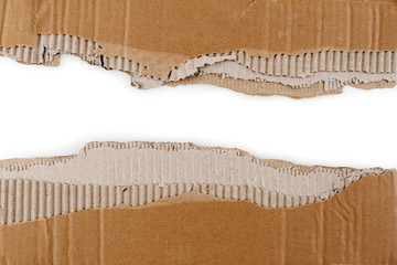 Ripped corrugated cardboard on white background. Copy space