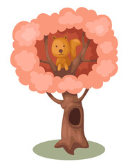 squirrel on the tree