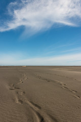 footprints in volcanic sand at Whatipu beach