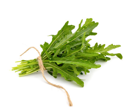 Arugula isolated on white background