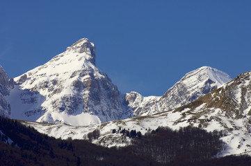 Pyrenees