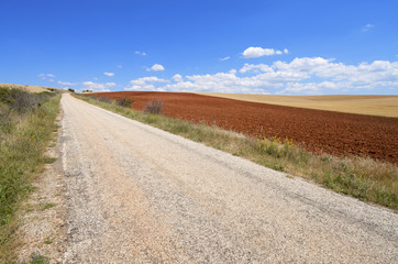Road