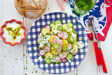 Kartoffelsalat mit Gurken