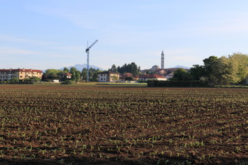 campo coltivato. Guanzate sullo sfondo