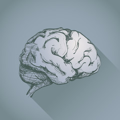 Human brain casting shadow, illustration