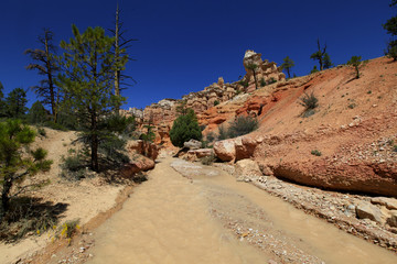 tropic Ditch Falls, Bryce Canyon