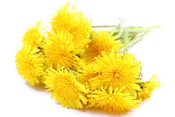 Naklejka premium Yellow flowers of dandelion on white background