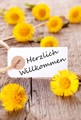 Fototapeta premium Yellow Flowers with Herzlich Willkommen
