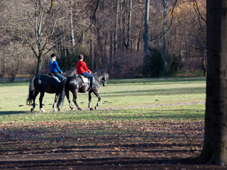 Riding lessons