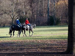 Riding lessons