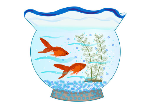 金魚鉢
