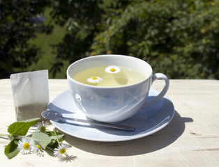 chamomile
