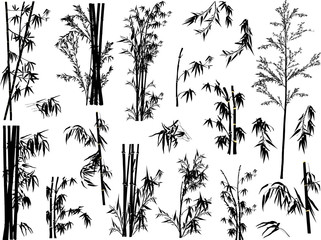isolated black bamboo plant silhouettes collection