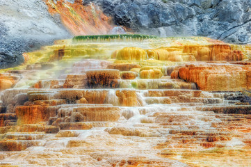 Yellowstone Palette Spring Terrace in Mammoth Hot Springs, Yellowstone National Park - obrazy, fototapety, plakaty