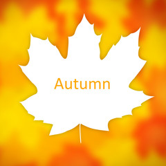Autumn background.