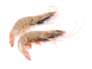 Two raw shrimps.