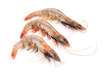 Three raw shrimp.
