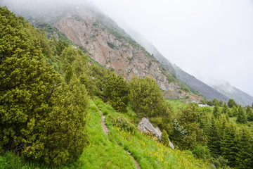 Walking in the Tien-Shan mountains