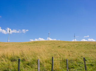 Fototapeta na wymiar Champ d'éoliennes