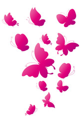 butterflies design