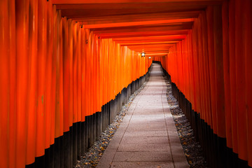 Fushimi Inari Taisha Shrine in Kyoto, Japan © Curioso.Photography