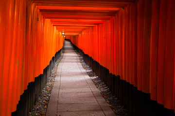 Fushimi Inari Taisha Shrine in Kyoto, Japan