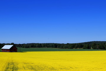 die farben von schweden