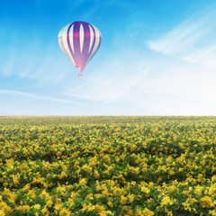 Balloon over Yellow Flower Field