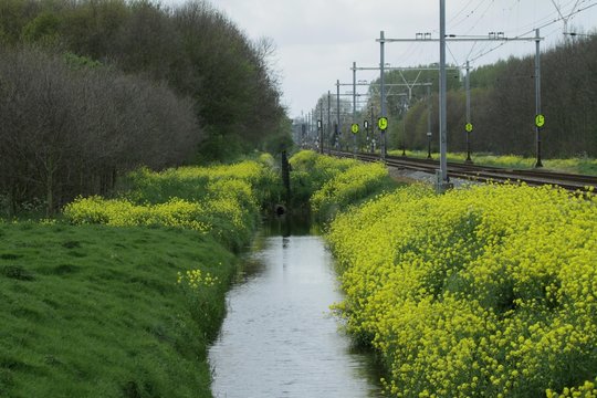 Natuur de Vlietlanden Panorama