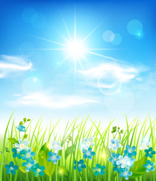 Sunny background with grass and flowers. Vector