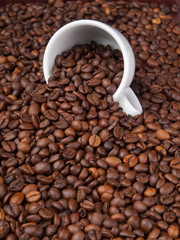 A white cup with many coffee beans on coffe background