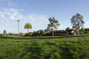 Green lawn