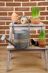 Green grass in flowerpots and gardening tools