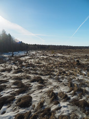 field in early spring