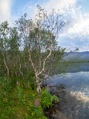 Lake in the mountains