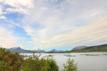 Obraz premium Northern Norway landscape