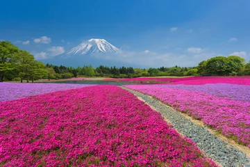 Fotobehang Fuji with Pink Moss © jiratto