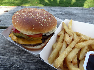 Cheeseburger and Fries Picnic in the Park