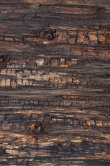 Texture of the old board as background