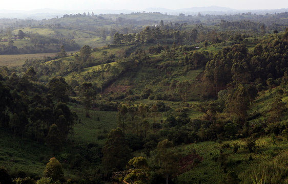 Kibale Forest - Uganda