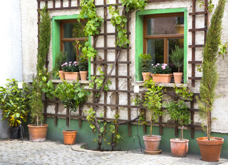 Fototapeta na wymiar Altes Haus mit Rankgitter und Kübelpflanzen aus Terracotta