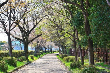 東山自然緑地ジョギングコース