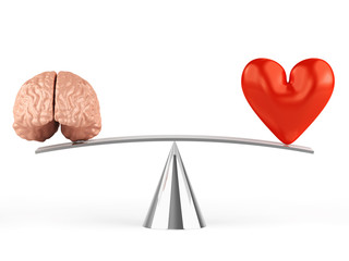 Sense or sensibility - Brain or heart
