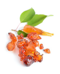 Natural gum of apricot tree.