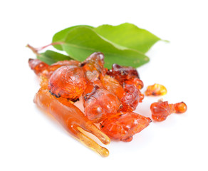 Natural gum of apricot tree.