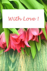 życzenia miłości na tle przepięknych tulipanów  - obrazy, fototapety, plakaty
