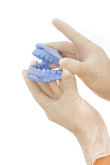 hands holding dental gypsum models