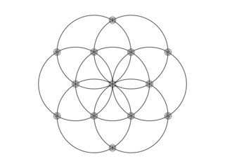 flower mathematics © Sepia100