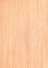 Obraz premium texture oak, wood grain, natural rural tree background