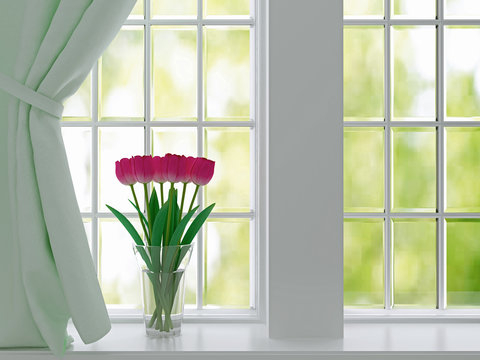 Tulips on a windowsill.